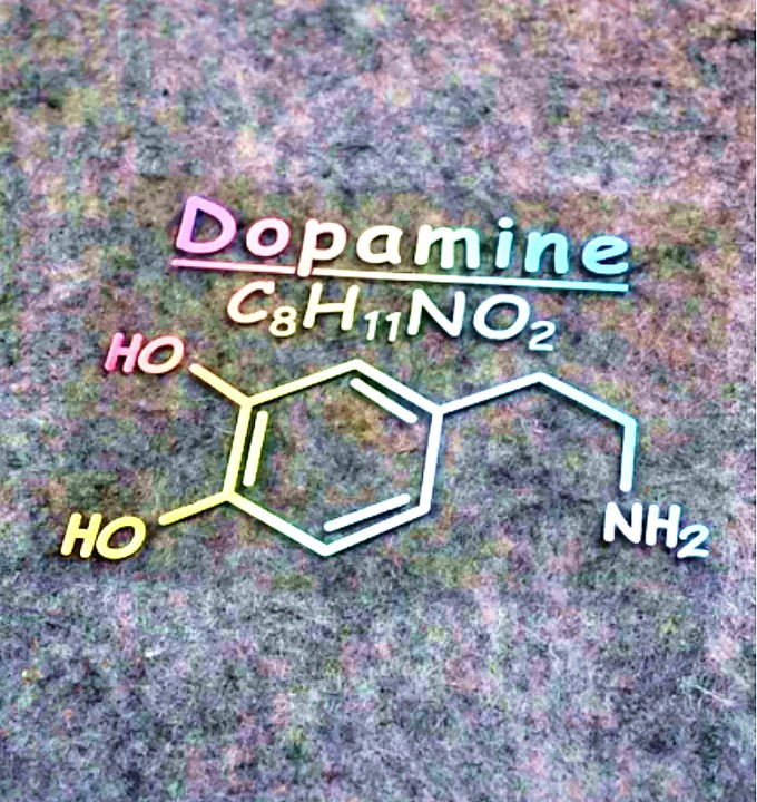 圈子里常说的多巴胺,内啡肽是什么意思?这和事后关怀有什么联系呢?,字母圈软件,字母圈app,sub,抖遇,aftercare,第2张 圈子里常说的多巴胺,内啡肽是什么意思?这和事后关怀有什么联系呢?,003.jpg,字母圈软件,字母圈app,sub,抖遇,aftercare,第2张