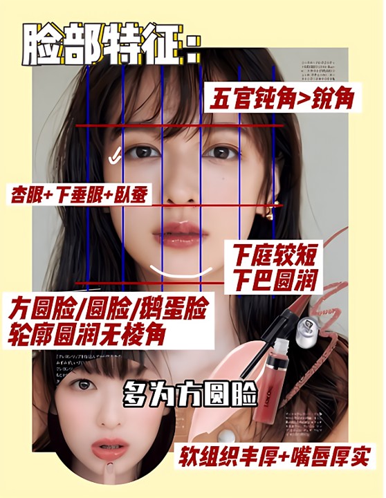 犬系女生的特点是什么?和k9有什么区别?